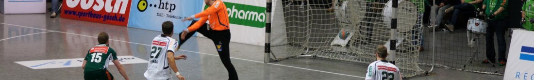 Palasermedia